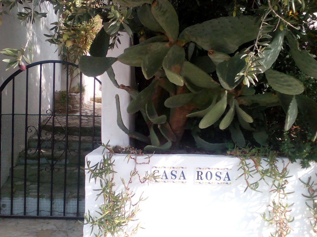 Casa La Rosa Bed and Breakfast Almedinilla Eksteriør billede